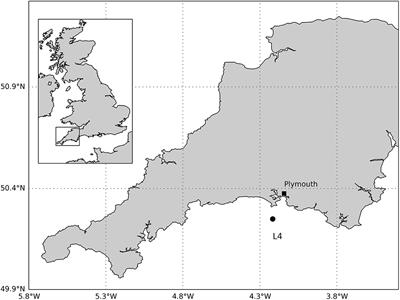 Time Scales of Benthic Macrofaunal Response to Pelagic Production Differ Between Major Feeding Groups